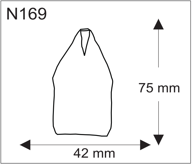 N-169