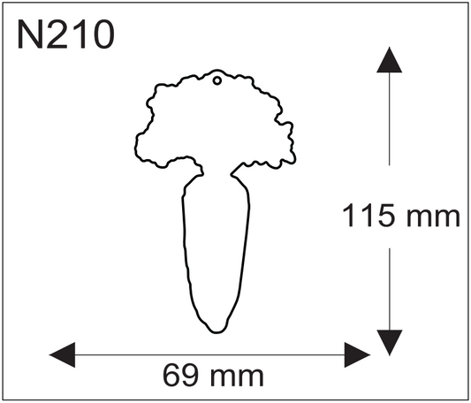 N-210